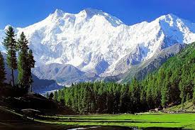 KASHMIR-04 NIGHTS AND 05 DAYS